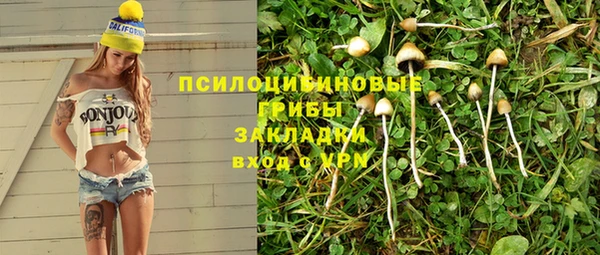 дмт Богданович