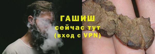 дмт Богданович