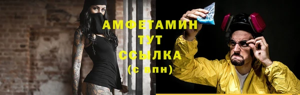 спиды Богородск