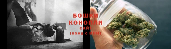 дмт Богданович