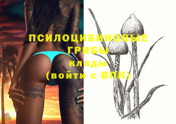 дмт Богданович
