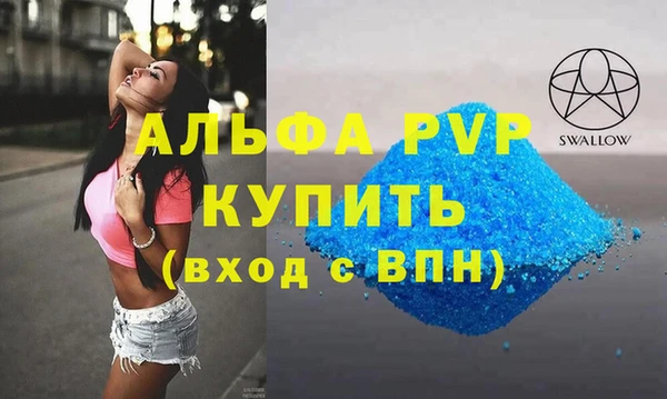 дмт Богданович