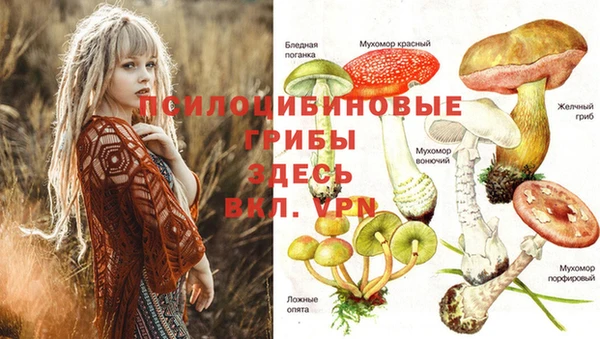 ешки Богородицк