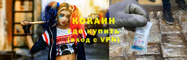дмт Богданович
